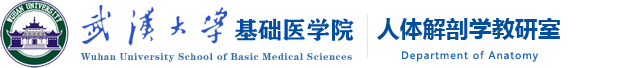 人体解剖学教研室