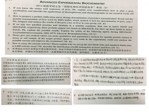 双语教学反馈